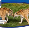 Win 4 vrijkaarten voor AquaZoo Leeuwarden